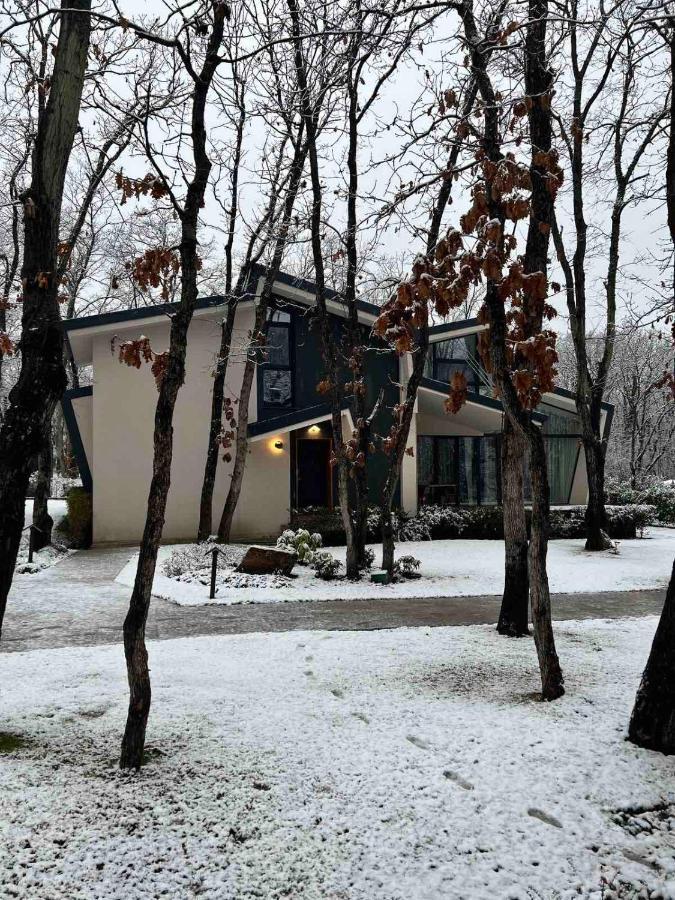 Utopia Forest Burgas Stad Buitenkant foto